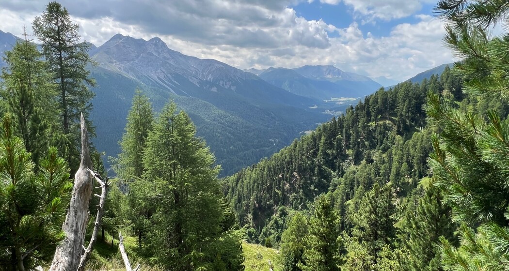 Brail – Alp Barlas-ch – Alp Munt – Zernez (oua_82085356_image)