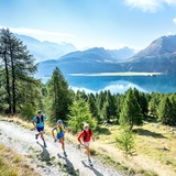 oberhlab vom Silsersee