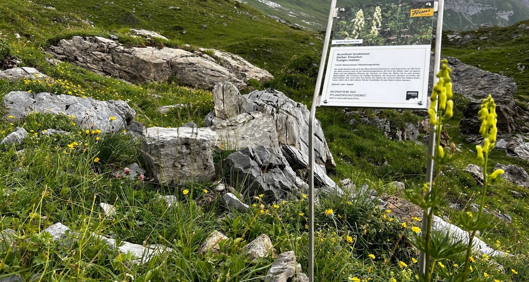 Sardona Bergblumen Pfad (oua_82292284_image)