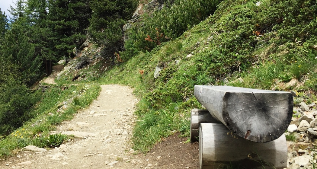 Sitzbänke Panoramaweg Muottas-Muragl - Alp Languard (oua_82357301_image)