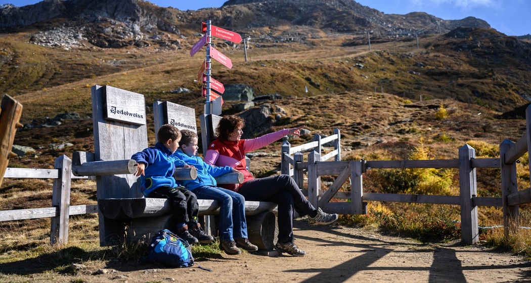 Sitzbank Edelweiss mit Flugzeugsitz-Optik (oua_82358500_image)