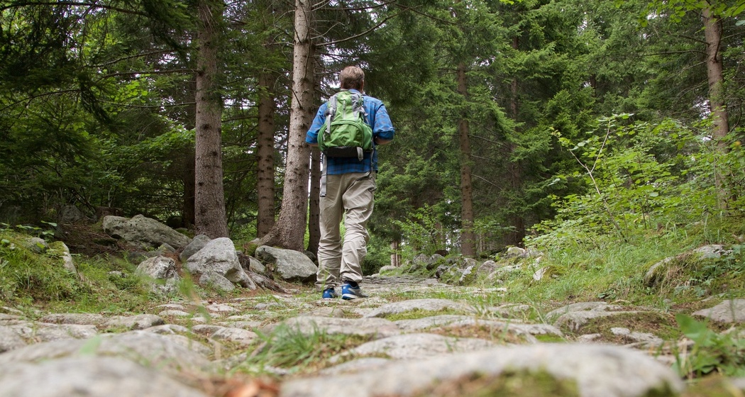 Wanderweg Malögin (oua_82358617_image)