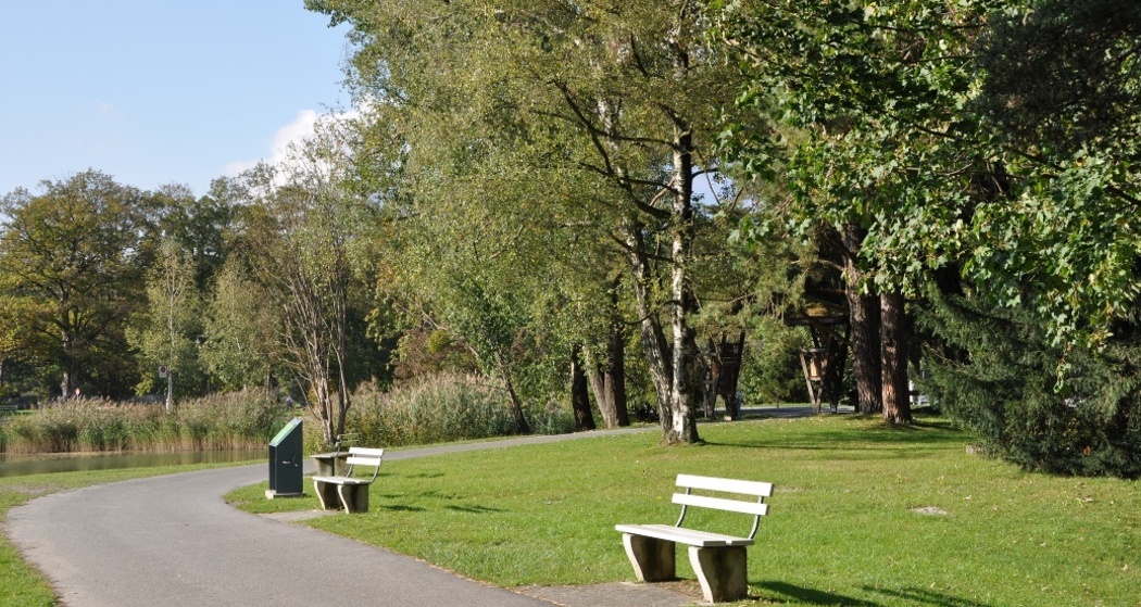 Fischen im Giessensee