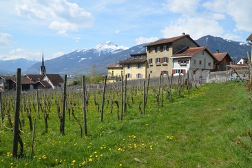Haus Schmid, aujourd’hui Fromm