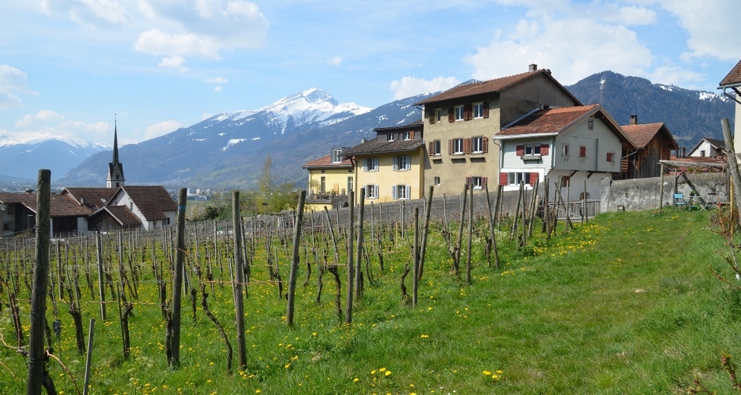 Haus Schmid, jetzt Fromm