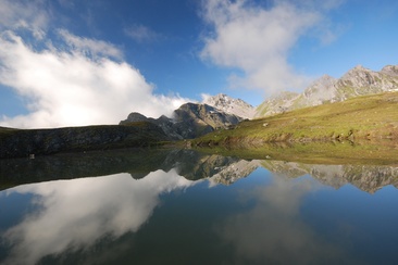 Wangs (oua_82386253_image)