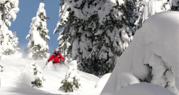 Berber Semmelink - Ski Academy