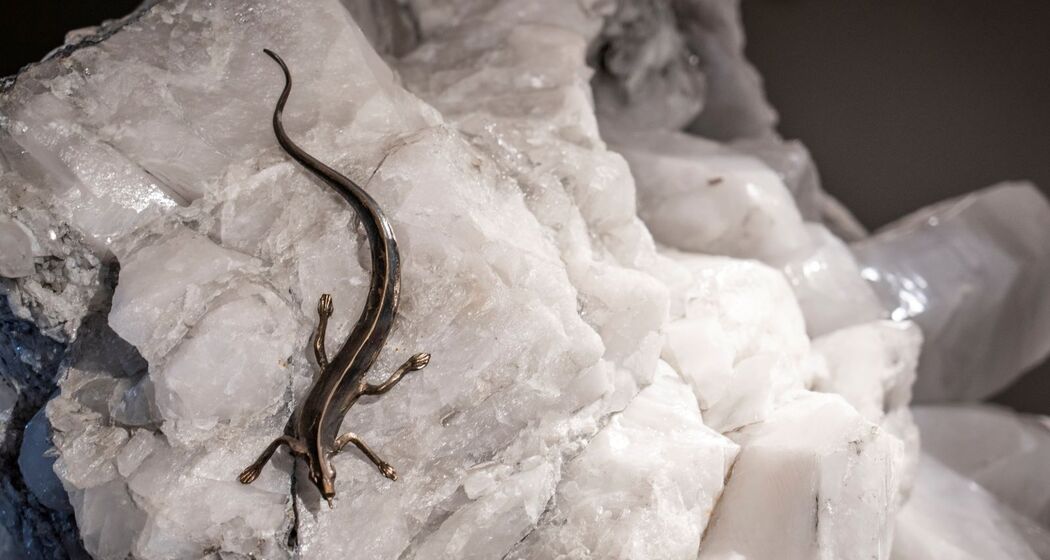 Eidechse auf dem Stern der vier Winde