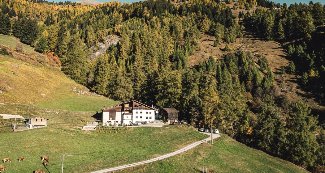 Bain Pütschai Josom (oua_83060650_image)