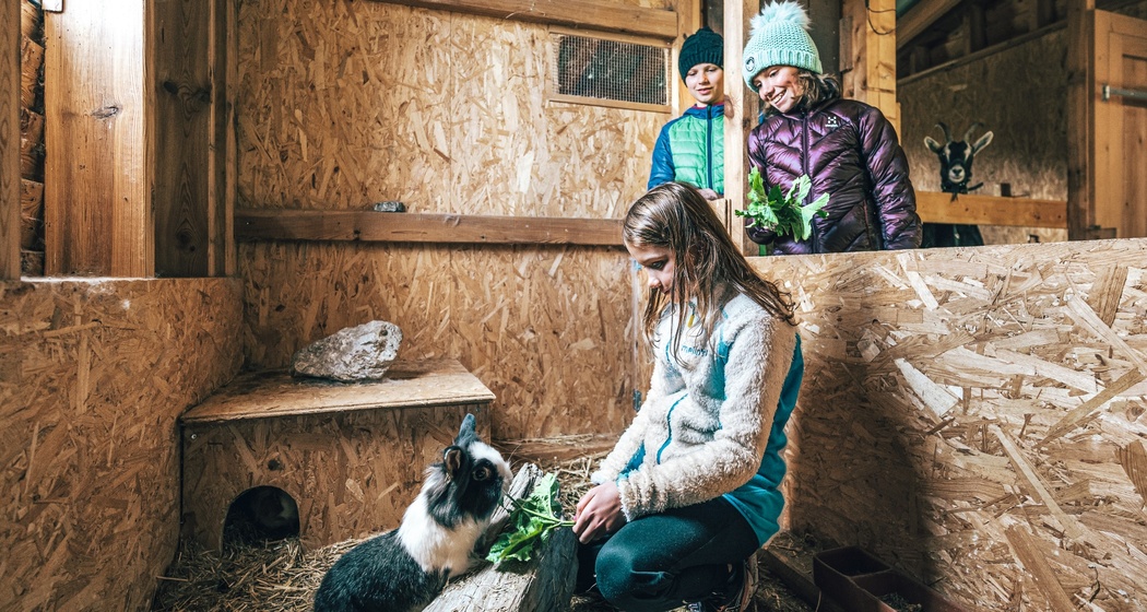 Bain Pütschai Josom (oua_83060653_image)