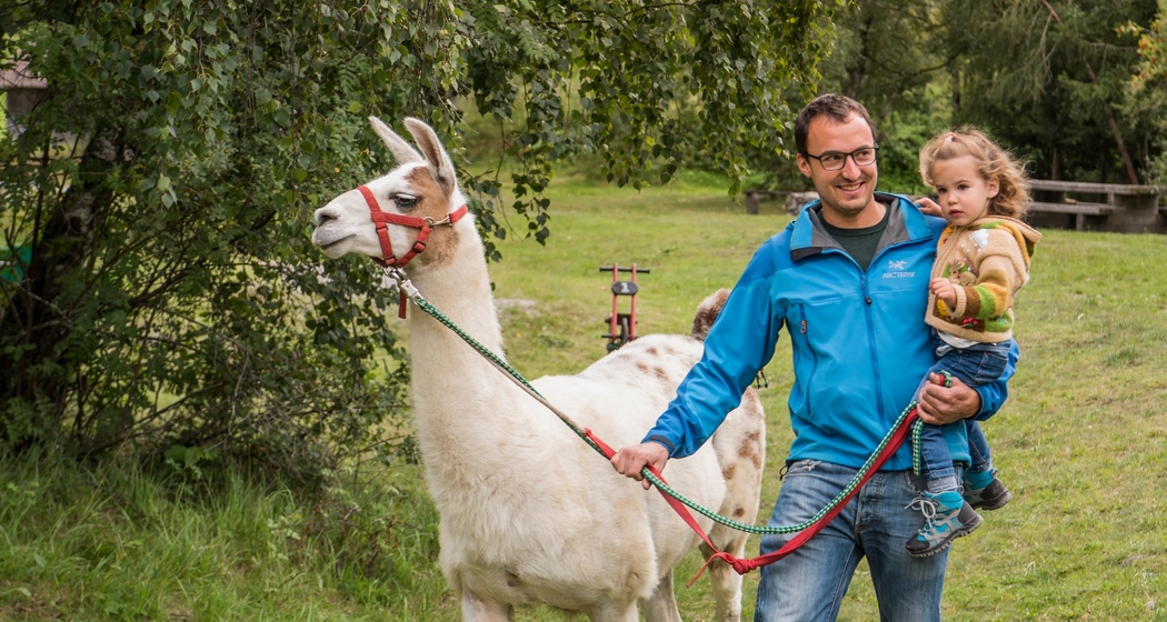 Pauraria Puntetta (oua_83060709_image)