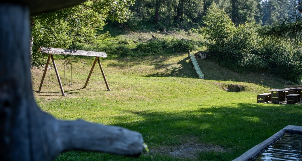 Feuerstelle Plontabuora, Ruschein (oua_83125188_image)