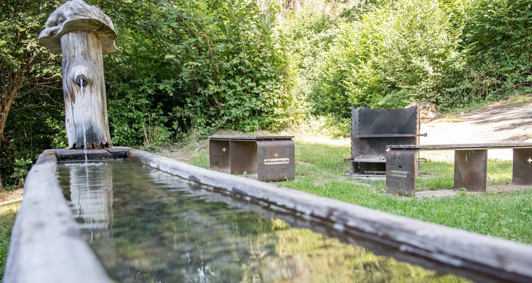 Feuerstelle Plontabuora, Ruschein (oua_83125189_image)