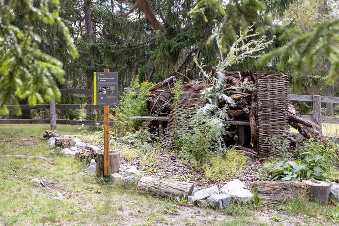 Insect Show Garden Don Bosco