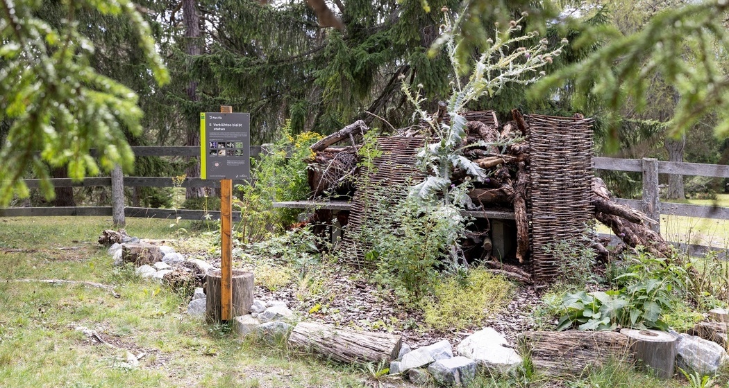 Insekten-Schaugarten Don Bosco