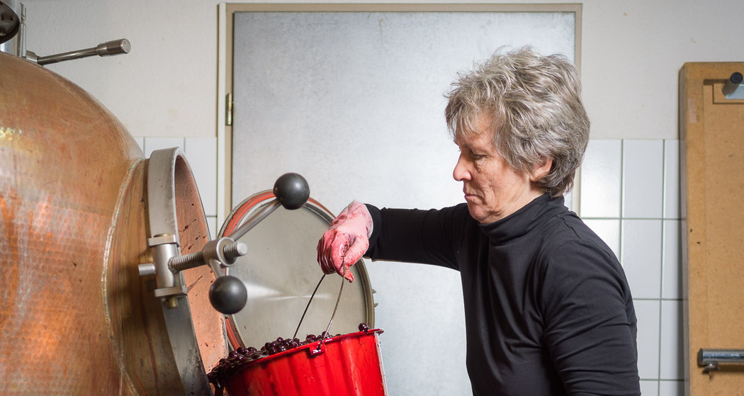 Gipf-Oberfrick: Häseli Huus (oua_85322939_image)