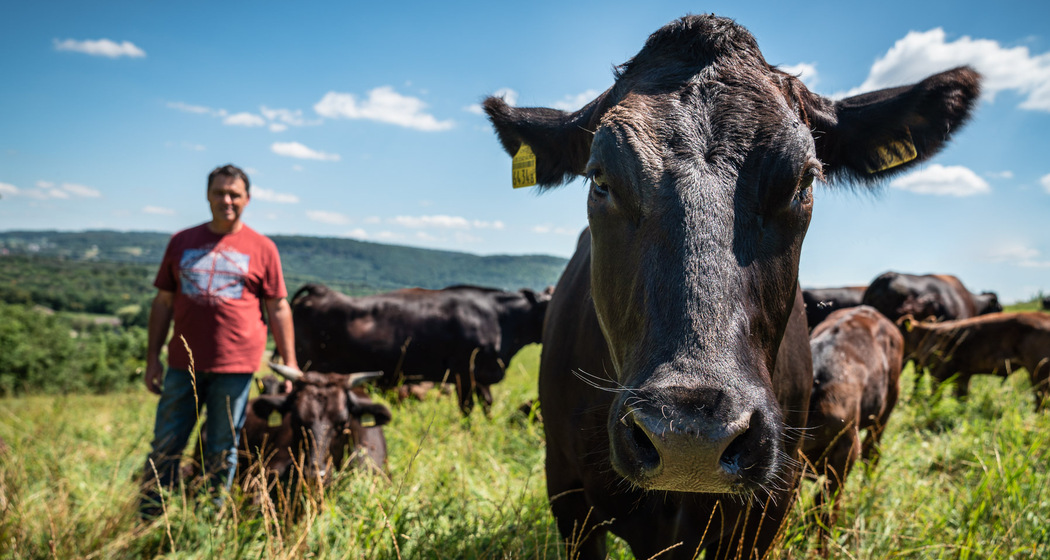 Villigen: Chlopfi's Bauernhof (oua_85323140_image)