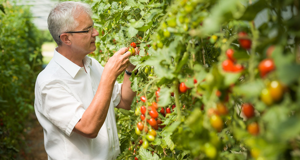 Villigen: Max Schwarz AG (oua_85323147_image)