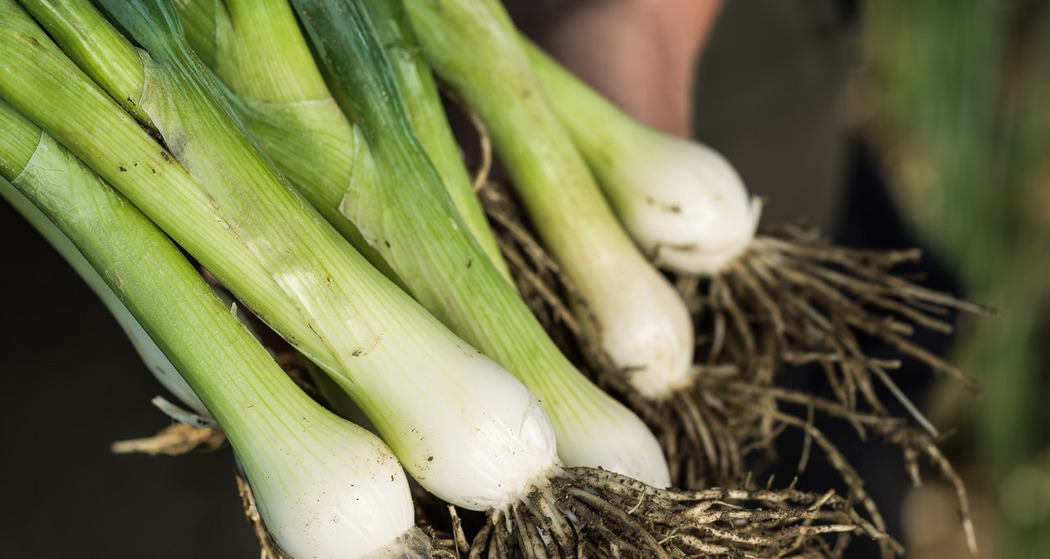 Villigen: Max Schwarz AG (oua_85323150_image)