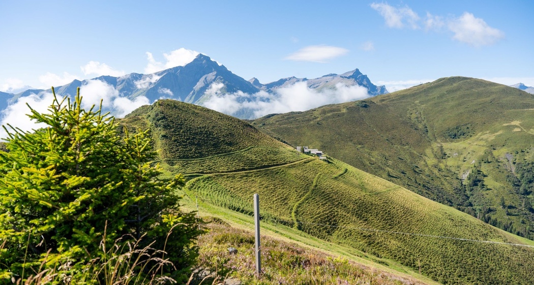 Alp Bischola vom Wanderweg