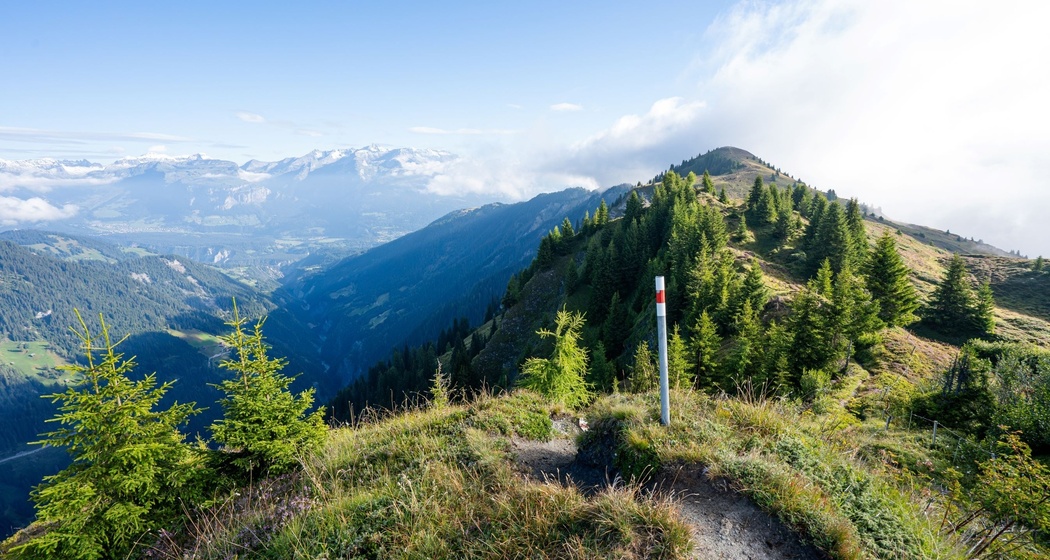 Heinzenberger Grat zwischen Präzer Höhi und Tguma