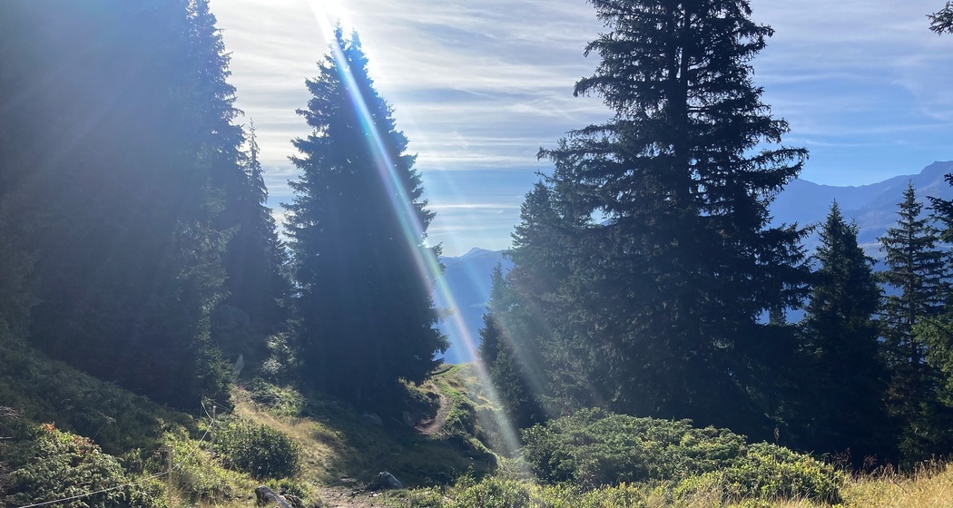 Aussicht auf der Rundtour Alp Glivers