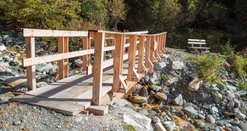 Alp Dadens (Segment) (oua_86013871_image)