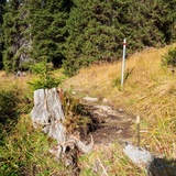 Alp Dadens (Segment) (oua_86013872_image)