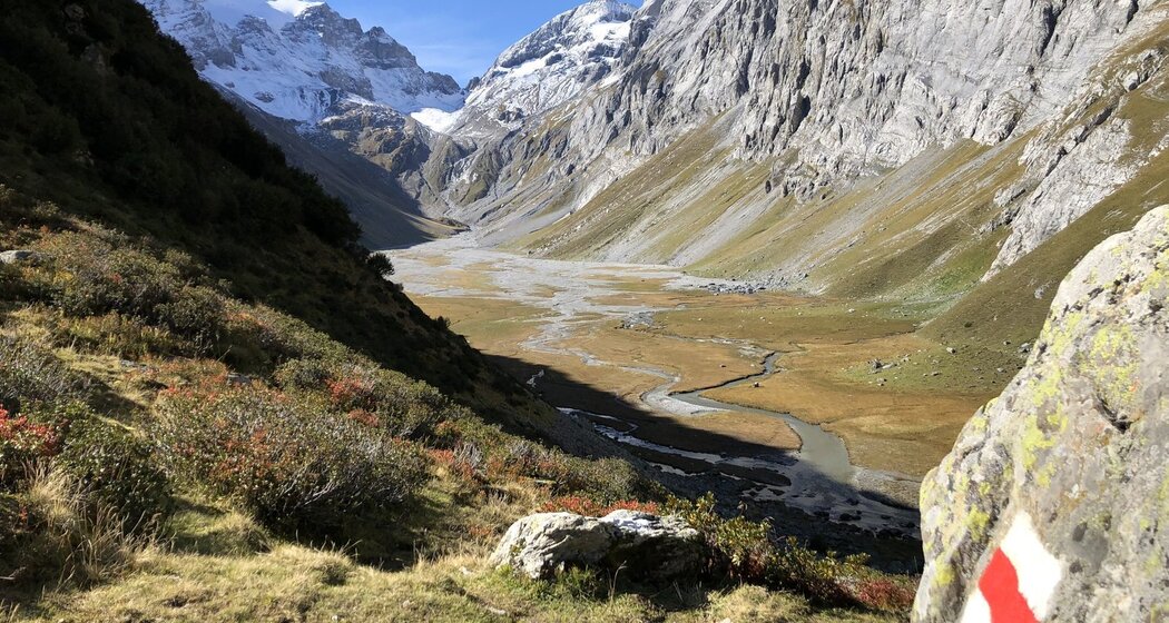 Trailrun: Brigels - Frisal - Brigels (oua_86057137_image)