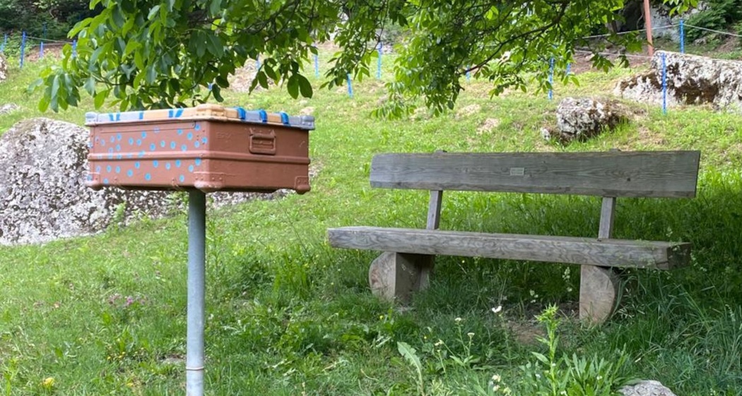 Lesebox Plaun Salter Danis