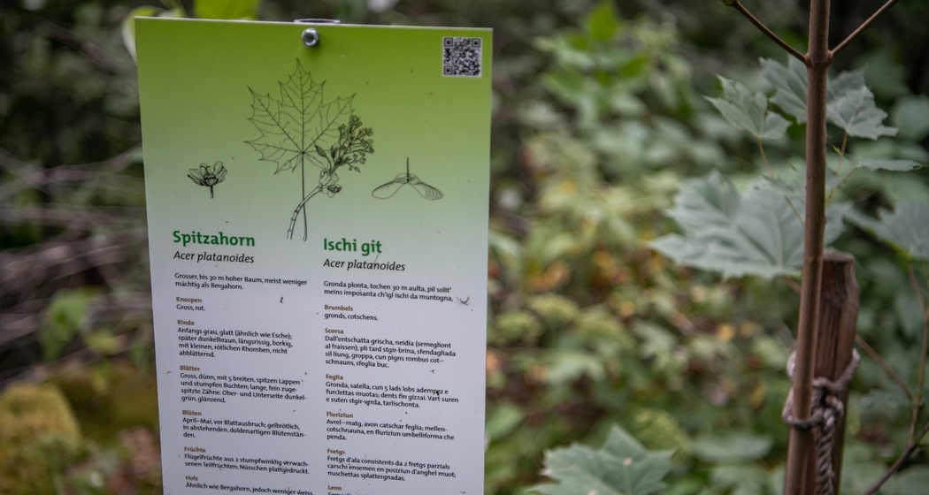 Waldlehrpfad "Mulin" in Schnaus (oua_86278380_image)