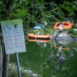 Parcours didactique forestier "Mulin" à Schnaus (oua_86278391_image)