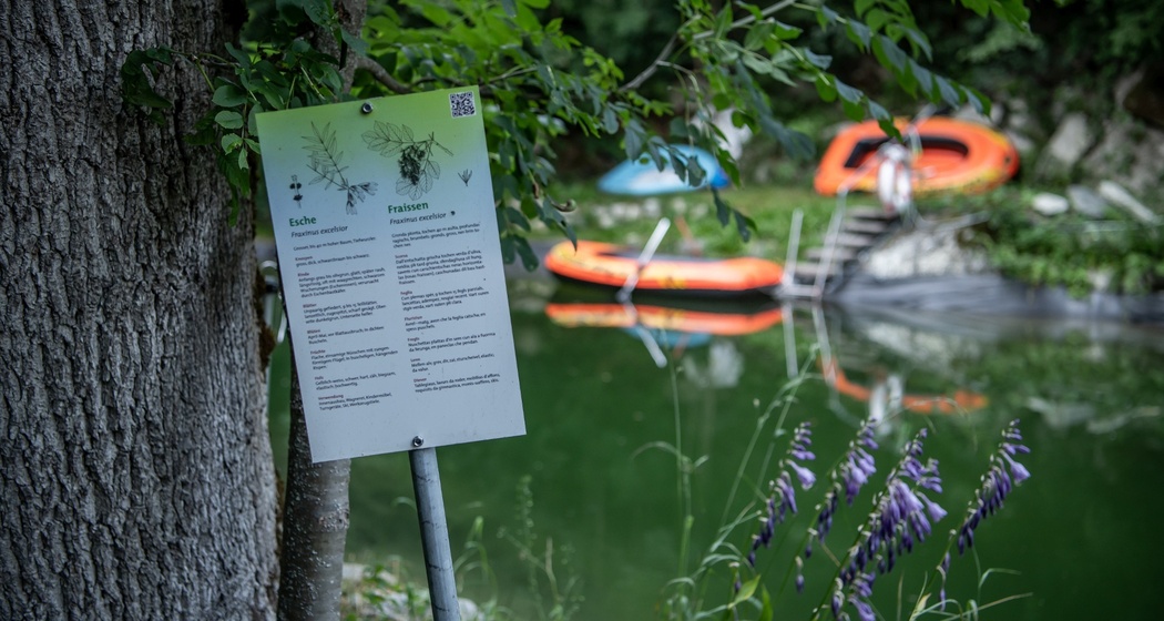 Waldlehrpfad "Mulin" in Schnaus (oua_86278391_image)