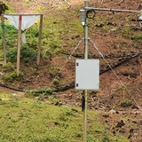 Forschung am Wegesrand: Wald und Umwelt (oua_86450534_image)