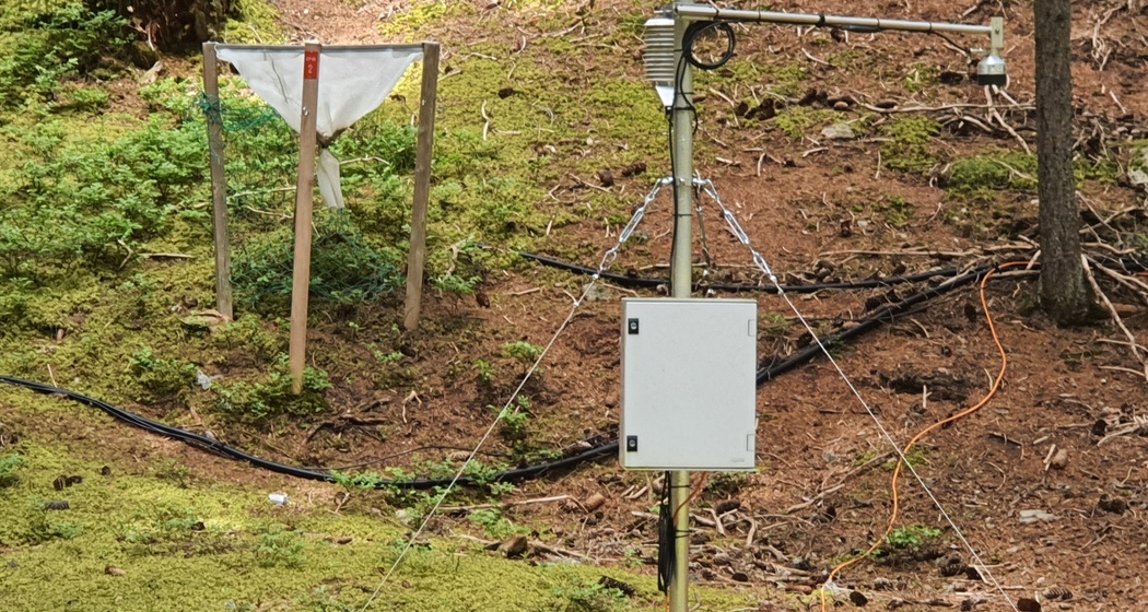 Forschung am Wegesrand: Wald und Umwelt (oua_86450534_image)