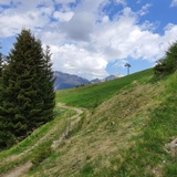 Research by the wayside: The biologists' round (oua_86450794_image)