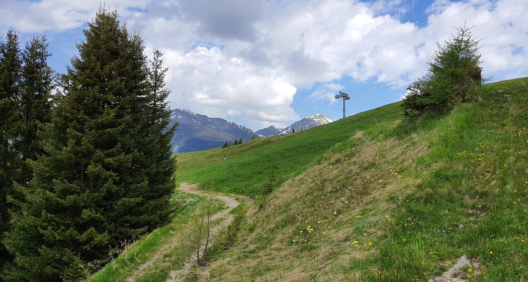 Forschung am Wegesrand: Die Biologenrunde (oua_86450794_image)