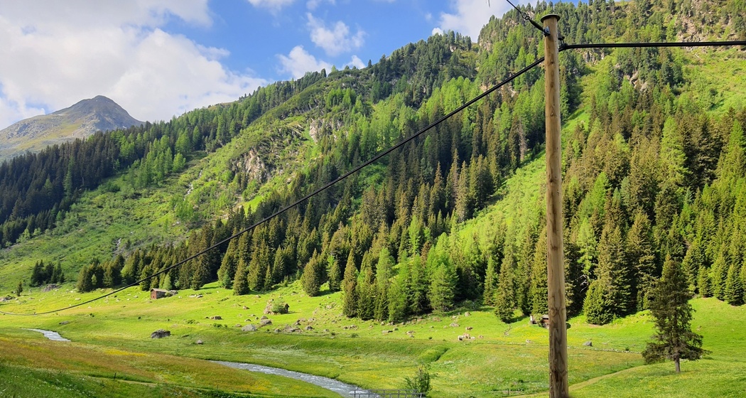 Forschung am Wegesrand: Die Biologenrunde (oua_86450795_image)