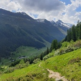 Research by the wayside: The biologists' round (oua_86450796_image)