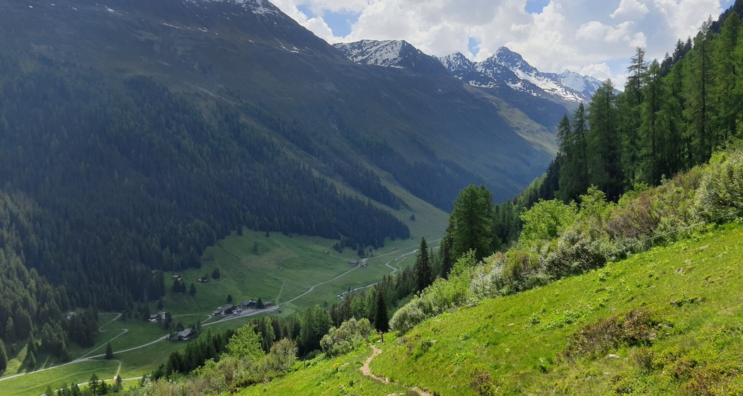 Forschung am Wegesrand: Die Biologenrunde (oua_86450796_image)