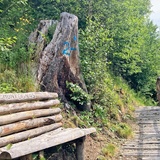 Holztreppe Rundwanderung Crappa Grossa