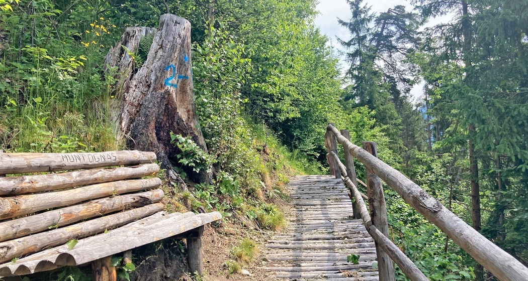 Holztreppe Rundwanderung Crappa Grossa