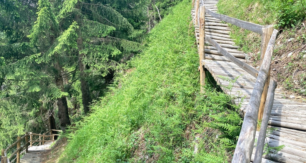 Holztreppe Rundwanderung Crappa Grossa
