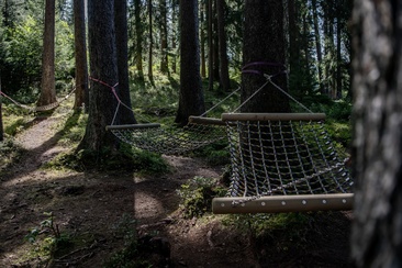 Hängemattenwald nähe Aussichtpunkt Flanz