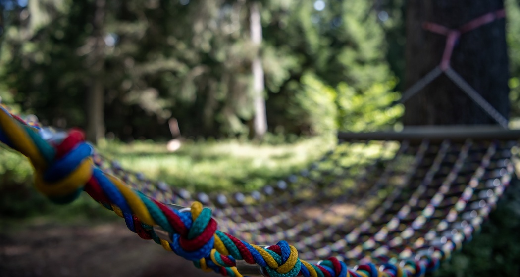 Hängemattenwald nähe Aussichtpunkt Flanz