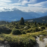 Senda panoramica: Nagens - Runcahöhe - Flims 20N (oua_87503048_image)