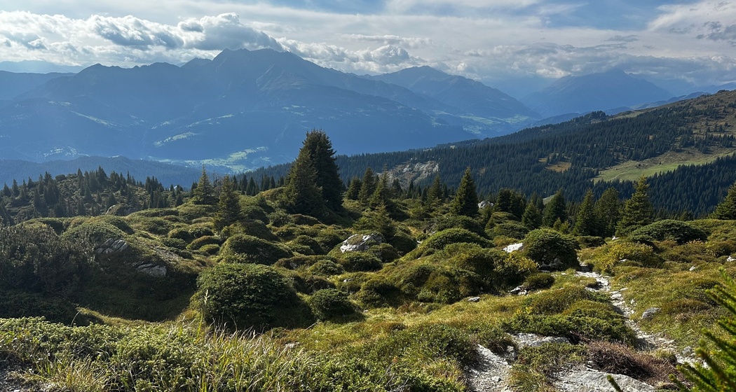 Senda panoramica: Nagens - Runcahöhe - Flims 20N (oua_87503048_image)