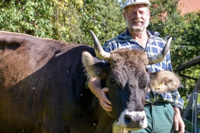 Wolfgang Schutz