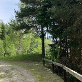 Hiking trail between Rabius and Surrein