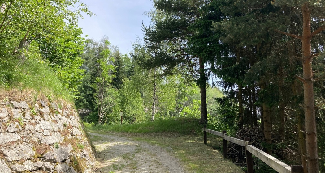 Wanderweg zwischen Rabius und Surrein